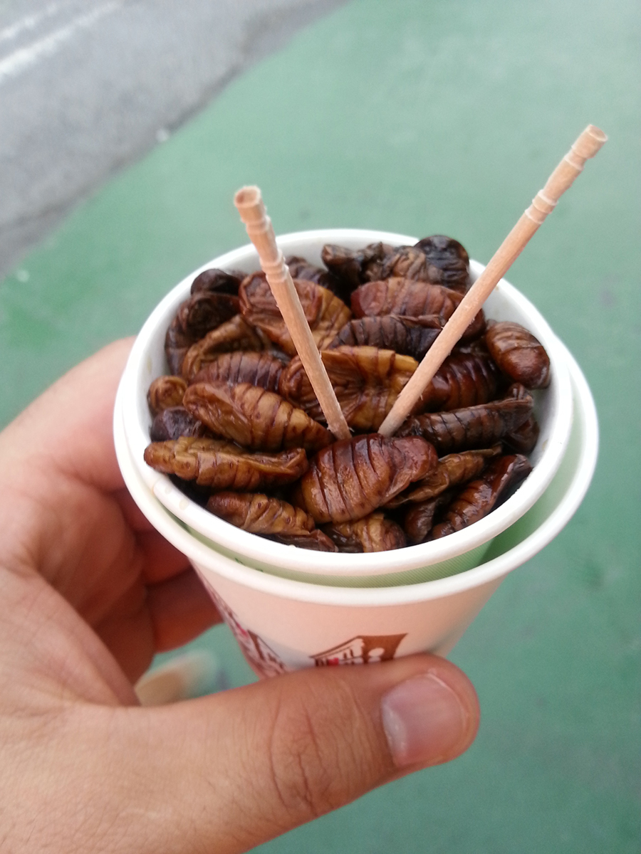 Street food asiatique : vers à soie en cornet