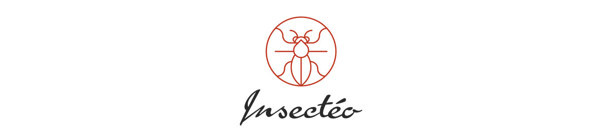 Insectéo | Le blog