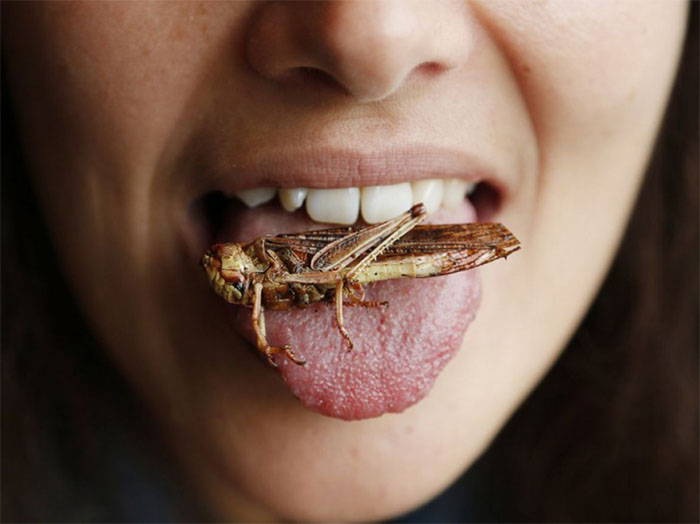 Femme qui mange un criquet comestible - Insectéo, le blog