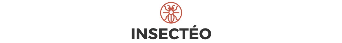 Insectéo | Le blog